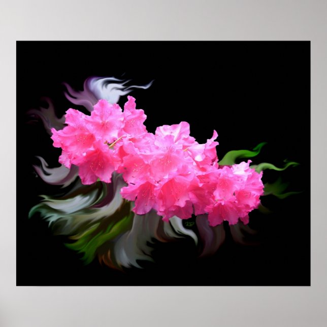 Affiche Azaleas (Devant)