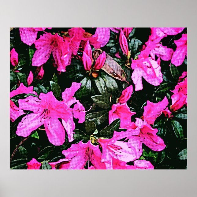 Affiche Azaleas 6082 (Devant)