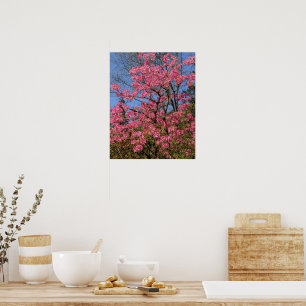 Affiche Azalées roses jolies Floral