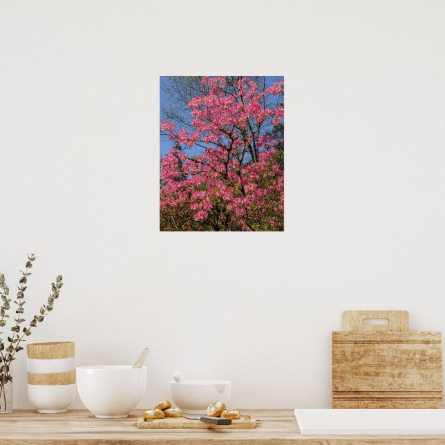 Affiche Azalées roses jolies Floral (Cuisine)