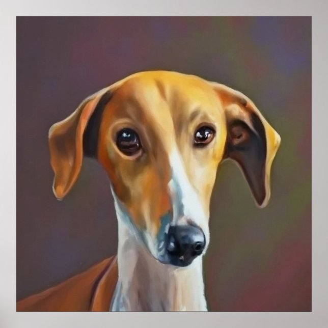 Affiche Azawakh - Portrait de chien (Devant)
