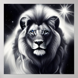 Affiche B&W Blue Eyed Lion