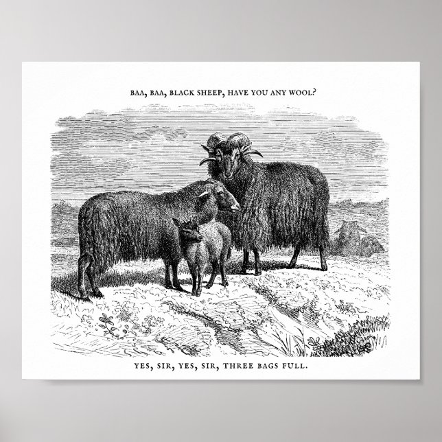 Affiche Baa, Baa, Rhyme de pépinière de moutons noirs (Devant)