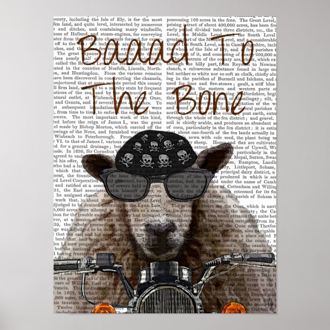Affiche Baaad To the Bone (Devant)