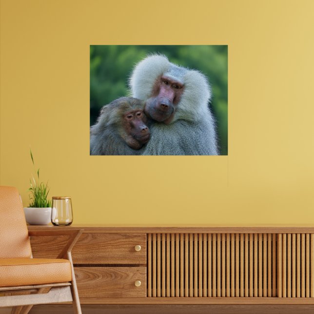 Affiche Baboon de l'appel d'offres (Salon 2)