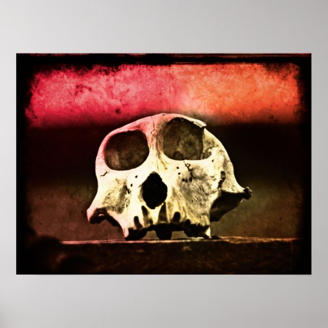 Affiche Baboon Skull Sunset Art (Devant)
