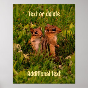 Affiche Baby Chipmunks Animal Art Personnalisé
