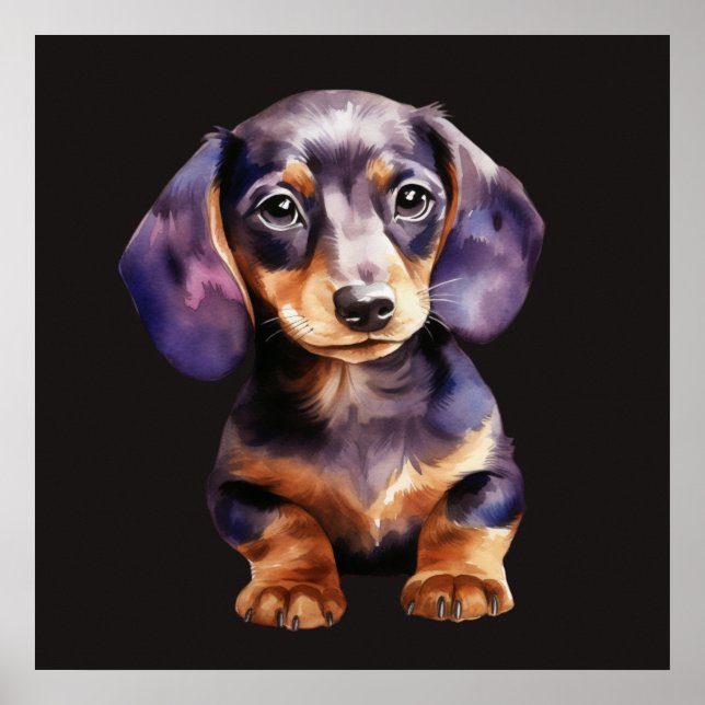 Affiche Baby Dachshund (Devant)