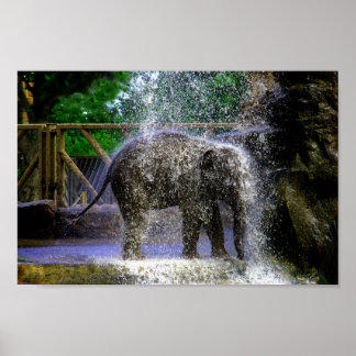 Affiche Baby Elephant Jouant Dans La Cascade