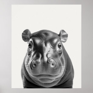 Affiche Baby Safari Africain Jungle Animaux Hippopotamus