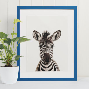 Affiche Baby Safari Africain Jungle Animaux Zebra