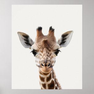 Affiche Baby Safari Animaux de la Jungle Africaine Girafe