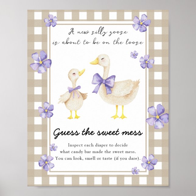 Affiche Baby shower canard - Devinez le doux désordre (Devant)