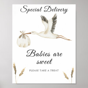 Affiche Baby-shower cigogne - les bébés sont mignons
