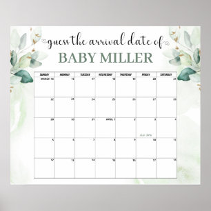 Affiche Baby shower de verdure Devis Date d'échéance Affic
