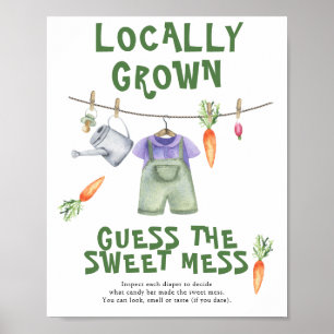 Affiche baby shower du marché agricole - désordre doux