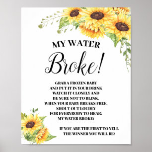Affiche Baby shower du panneau du jeu My Water Broke