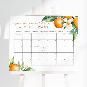 Affiche Baby shower Floral Orange Devis Date d'échéance Ca