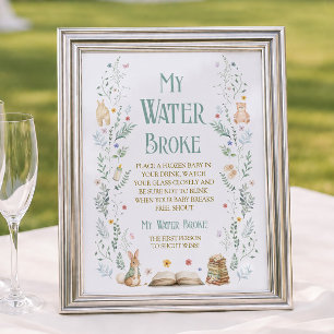 Affiche Baby Shower Nouveau Chapitre Jeu Ma Source Est Cas