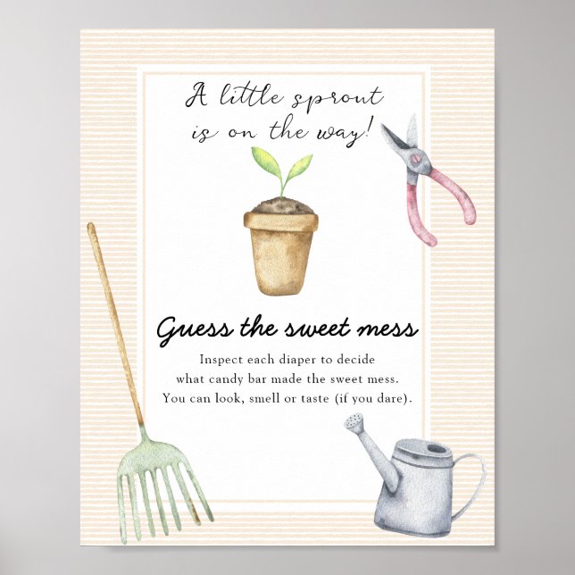 Affiche Baby shower pousse - Devinez le doux désordre (Devant)