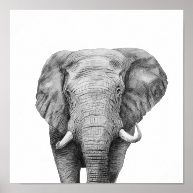 Affiche Back Up Plan IV (Devant)