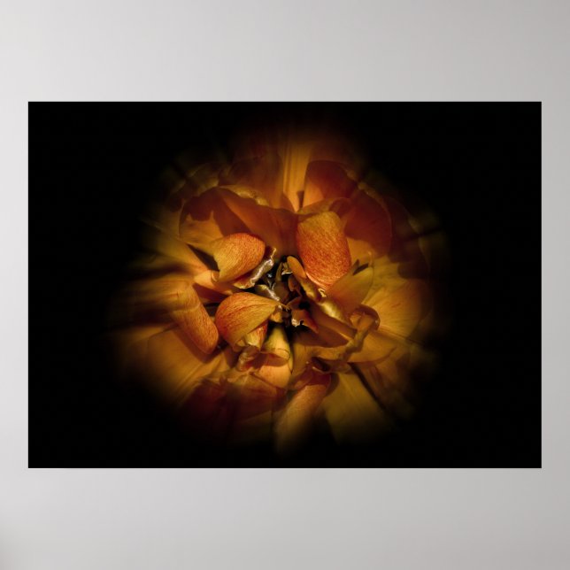 Affiche Backyard Flowers No 80 Color Flow Version (Devant)