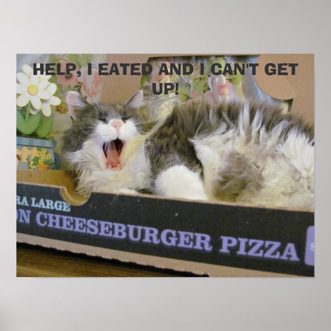 Affiche Bacon Cheeseburger Pizza Overdose Kitty (Devant)