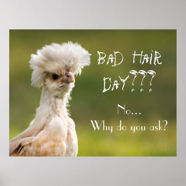 Affiche Bad Hair Day poulet (Devant)