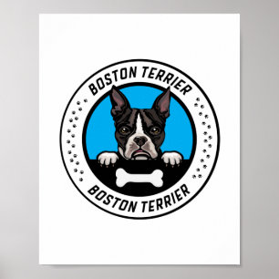Affiche Badge d'illustration de Boston Terrier Peeking