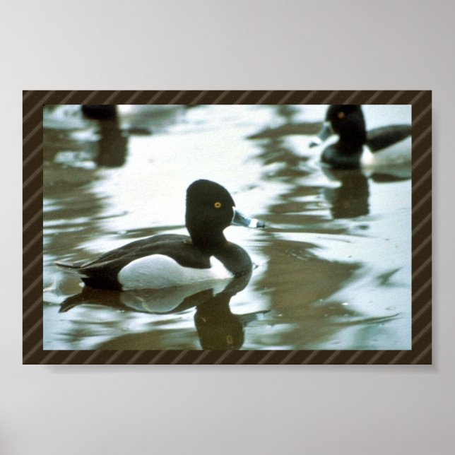 Affiche Bague encastrée croupie (Devant)