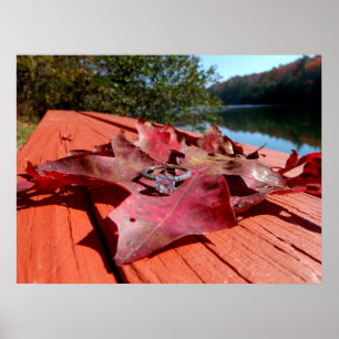 Affiche Bague fiançailles sur une feuille d'automne