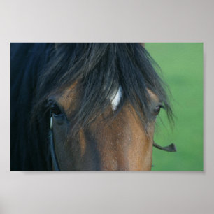 Affiche Baie Closeup