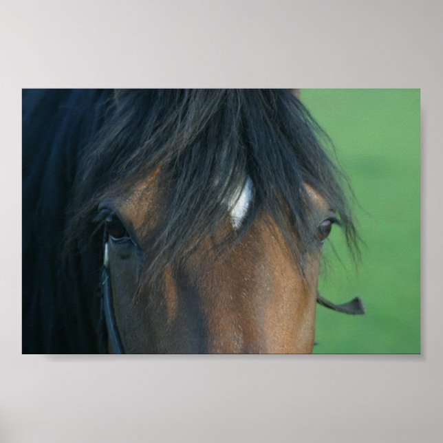 Affiche Baie Closeup (Devant)