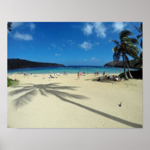 Affiche Baie Hawaï de Hanauma