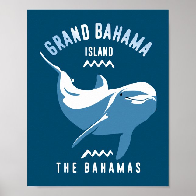 Affiche Baignade avec Dolphins Grand Bahama (Devant)