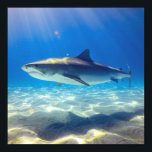 Affiche Baignade de requins Eau bleu de l'océan<br><div class="desc">Baignade de requin Eau de l'océan bleu C'est une créature majestueuse de la mer bleue profonde. Le requin gris nage avec la nageoire pointue et blanc sous le ventre. Parfait pour les amateurs de requins dans votre vie.</div>