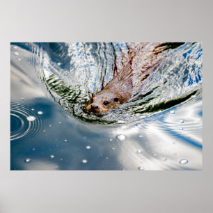 AFFICHE BAIGNADE DE SCEAU CUT