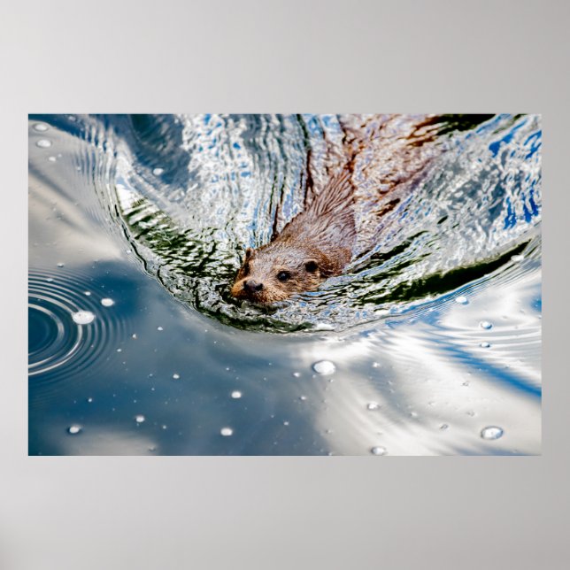 AFFICHE BAIGNADE DE SCEAU CUT (Devant)
