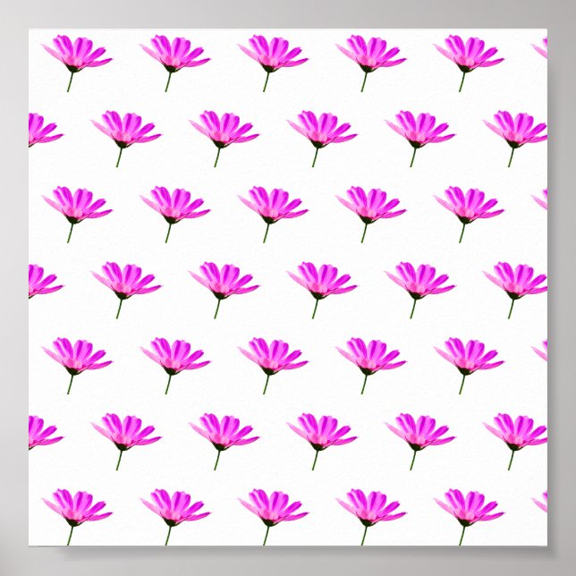 Affiche Baise rose (Devant)