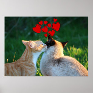 Affiche Baiser de Kitty