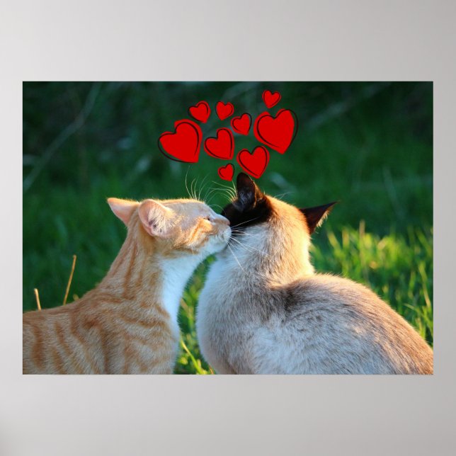 Affiche Baiser de Kitty (Devant)