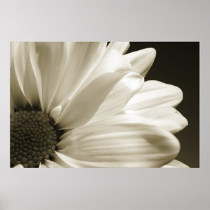 Affiche Baisy noir et blanc