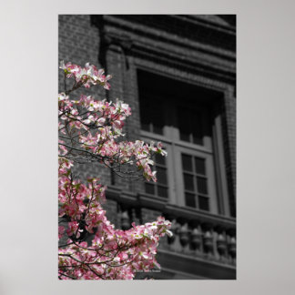 Affiche Balcon fleuri