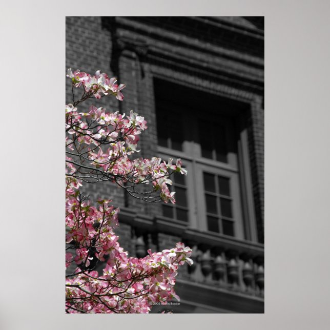 Affiche Balcon fleuri (Devant)
