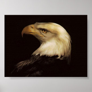 AFFICHE BALD EAGLE