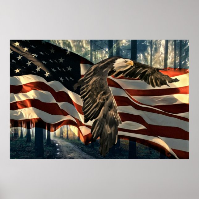 Affiche Bald Eagle American Flag Country Road (Devant)