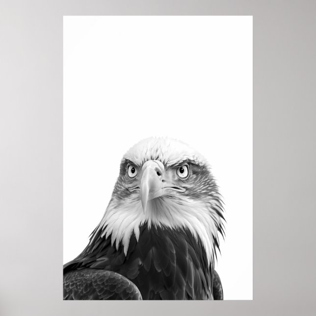 Affiche Bald Eagle Woodland Moderne Portrait noir blanc (Devant)