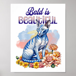 Affiche Bald est magnifique   Chat sans poil