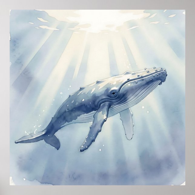 Affiche Baleine à bosse aquarelle océan (Devant)