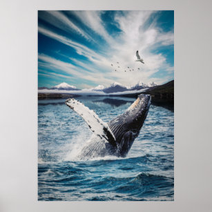 Affiche Baleine boréale